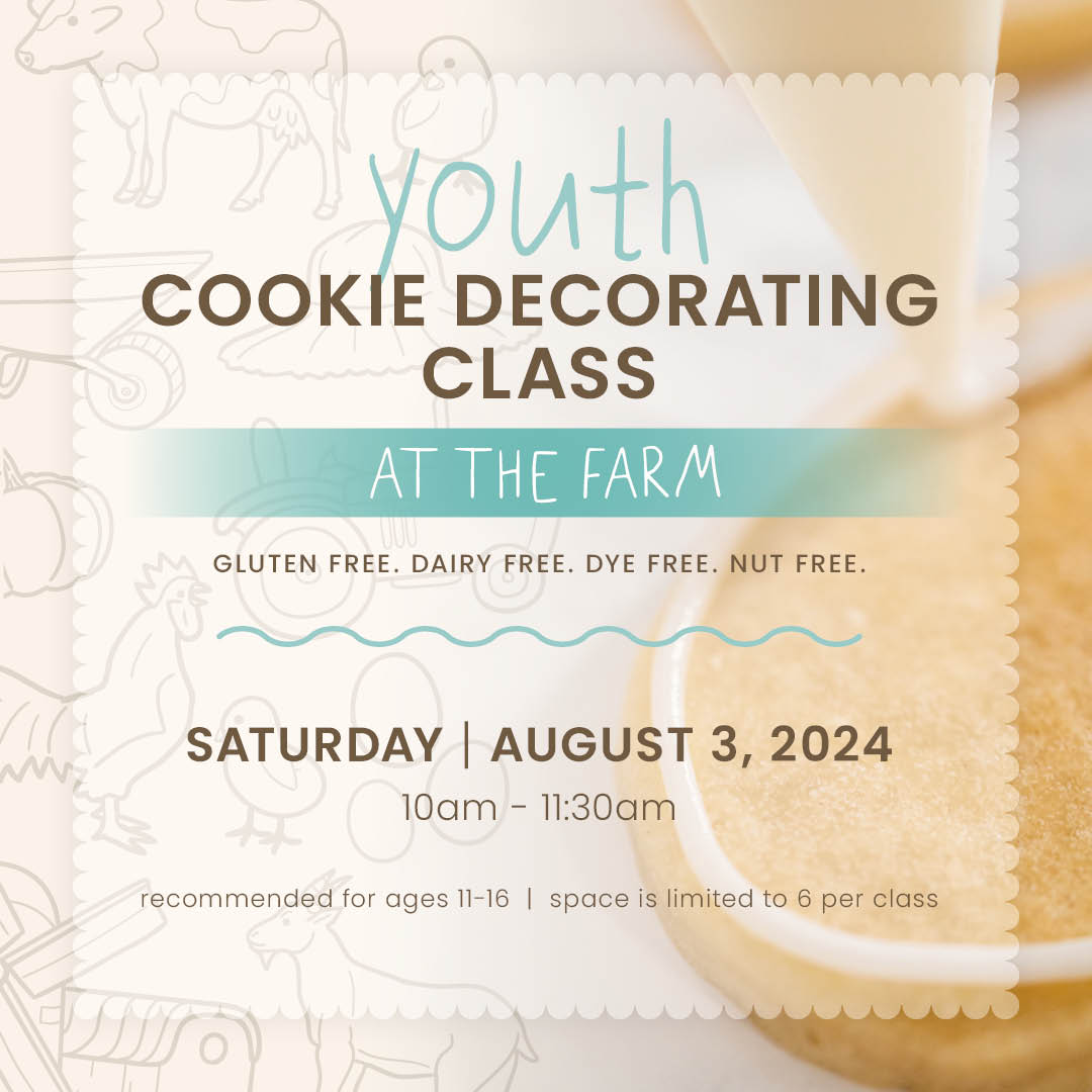 Youth Cookie Decorating Class (8/3/24)