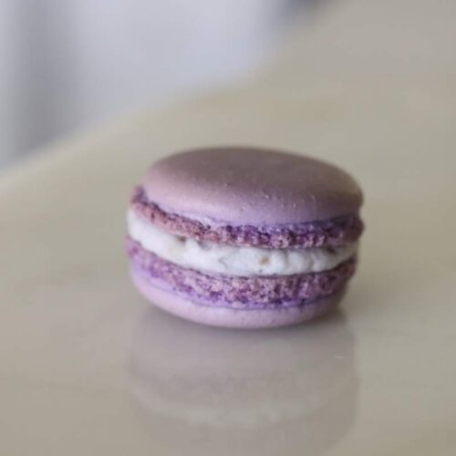 Lavender Macaron